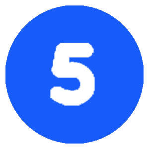 5 Number Icon
